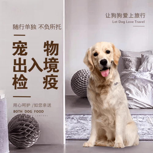 山南地区宠物托运到哥伦比亚猫狗宠物入境规定和