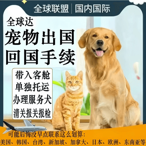 山南地区宠物托运到柬埔寨宠物入境规定和要求