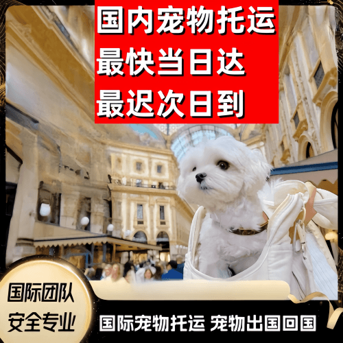山南地区到澳大利亚（澳洲）宠物入境规定和要求