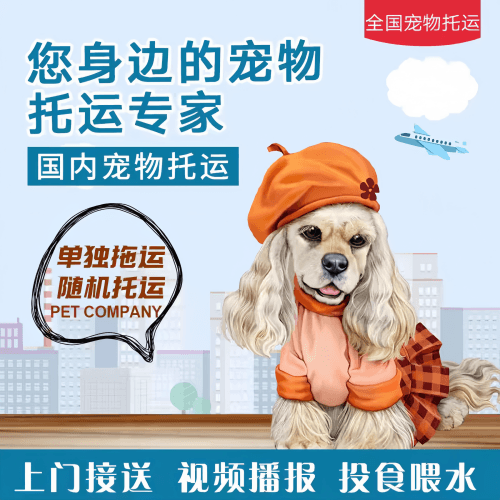 满财山南地区宠物全球达宠物托运作为专业的宠物运输代理机构